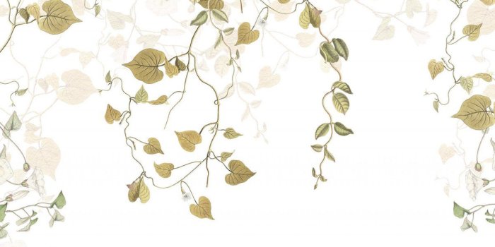 1200x1118 Modern Ivy Mural: Floral Wallpaper | Forest Homes