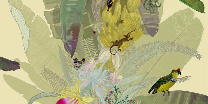 1280x1280 Merian Palm Superwide SWP/MER/IVY/01