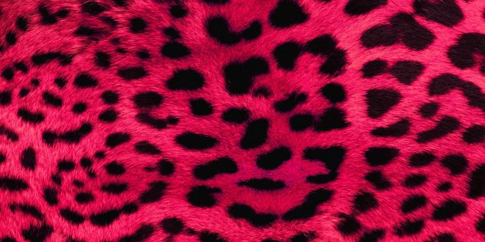 1920x1200 Download Pink Leopard Print Free Wallpaper 1920x1200 | Full HD