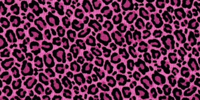 1400x1050 Pink Leopard Print Wallpapers Desktop Background