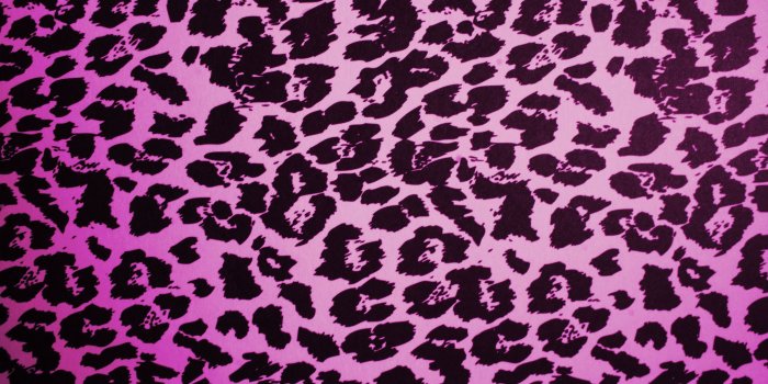 3888x2592 Pink Leopard Print Wallpapers