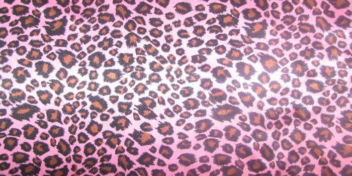 1302x1200 48+] Pink Cheetah Print Wallpaper on WallpaperSafari