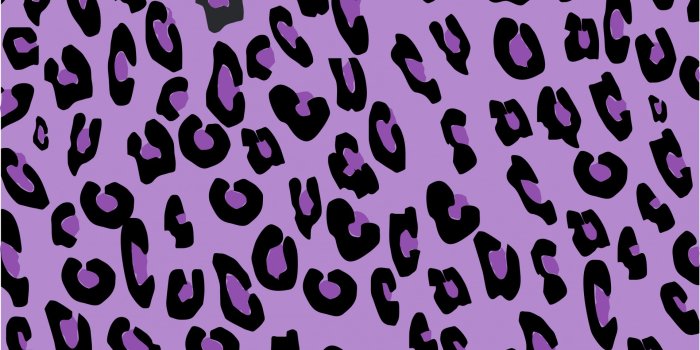 1919x1920 Leopard,skin,purple,print,leopard skin - free image from needpix.com