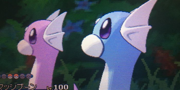 1600x1200 Shiny Dratini after 17 chains : PokeMoonSun