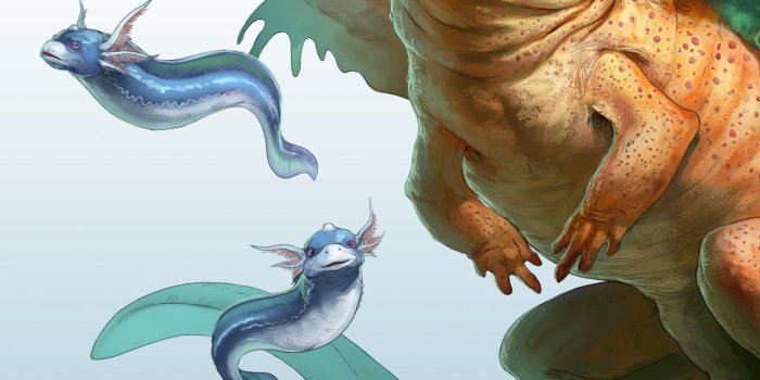 2048x2732 Download Dragonite Pokemon, Dragonite Ex Wallpaper - Realistic