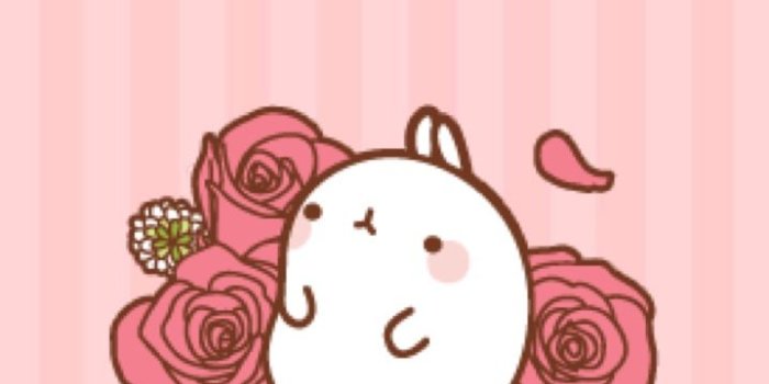 719x1280 Cute Kawaii Wallpaper For Iphone 82 Images - Molang Flowers, Hd