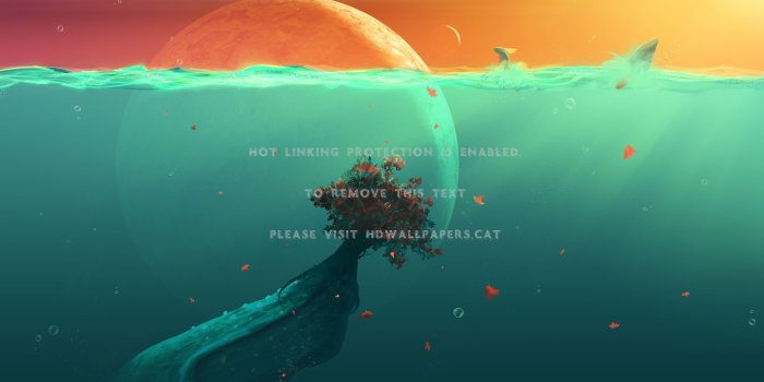 2560x1600 deep ocean cute relax colorful abstract