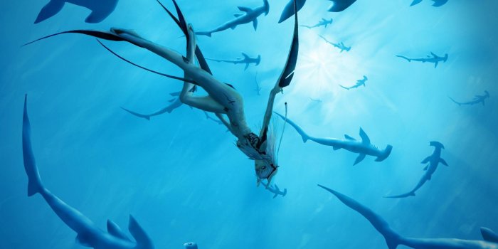 1920x1080 Deep Sea Wallpapers