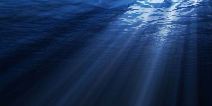 1920x1080 You Wouldn't Know | Underwater background, Under the sea