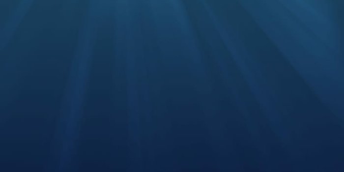 910x1365 At the bottom of the ocean 1080P, 2K, 4K, 5K HD wallpapers free