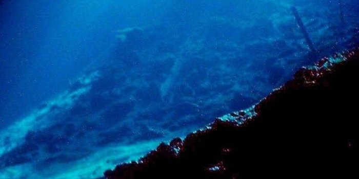 768x1280 Deep Sea Wallpapers - Top Free Deep Sea Backgrounds - WallpaperAccess