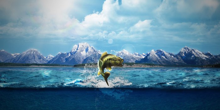 3551x1995 nature, Natural Lighting, Sea, Sea Monsters, Fish, Horizon, Deep