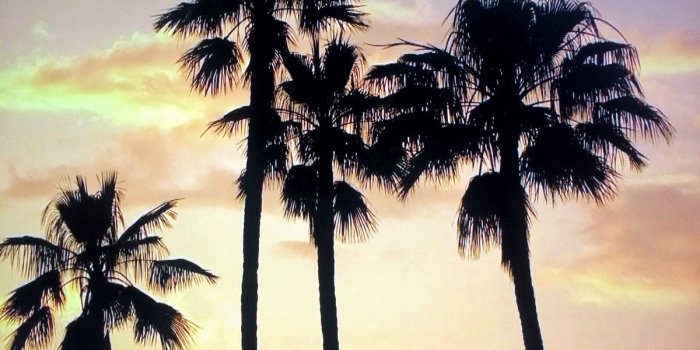 1200x900 Vin Scully on Twitter: 