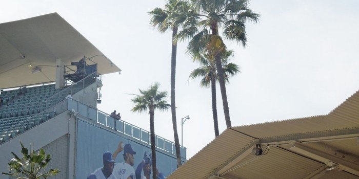 1024x768 Palm Trees In and Around Dodger Stadium | 3489. Palm trees, …