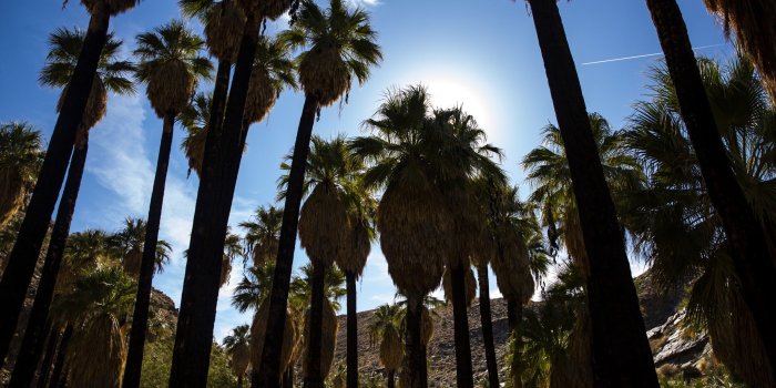 2400x1600 California Zoom backgrounds - Los Angeles Times