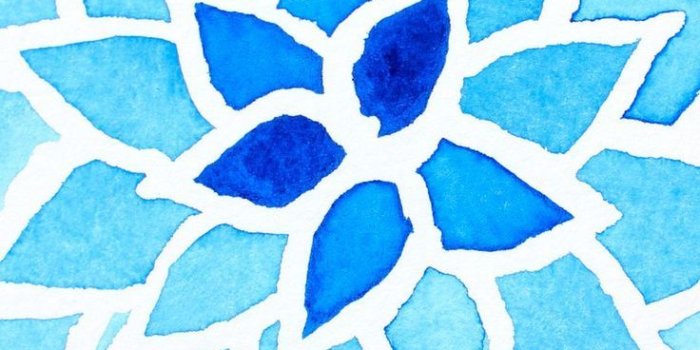 736x1308 Flower Background Home Screen Wallpapers