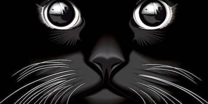 1080x2280 Top Cool Black Wallpapers & Backgrounds Download [ HD ]