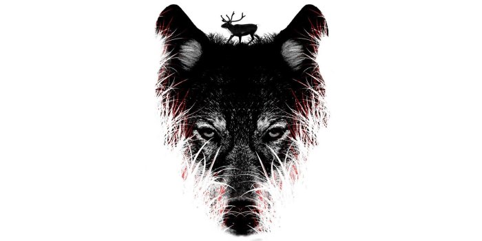 1920x1080 Wolf Art Wallpapers - Top Free Wolf Art Backgrounds - WallpaperAccess
