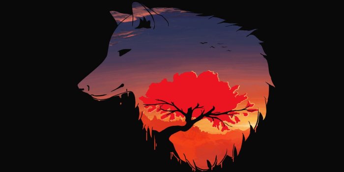 1920x1080 Minimal Wolf Wallpapers - Top Free Minimal Wolf Backgrounds