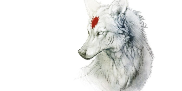 1920x1200 minimalistic wolves – Art Minimalistic HD Desktop Wallpaper