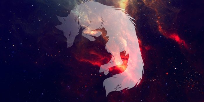 1920x1080 2560x1440 Wolf Fantasy Art Space 1440P Resolution HD 4k Wallpapers