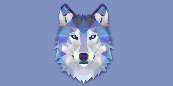 2560x1600 Wolf Geometric Wallpapers - Top Free Wolf Geometric Backgrounds