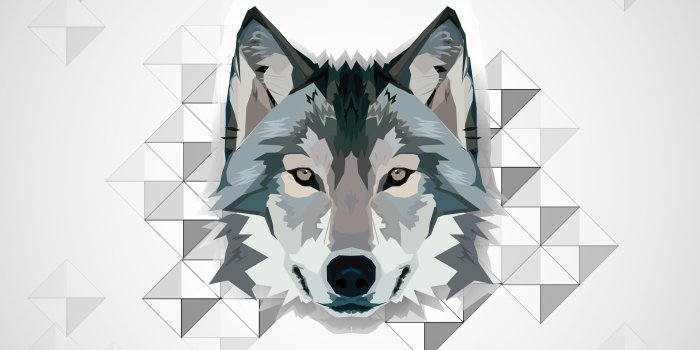 3857x2901 Wolf Geometric Wallpapers - Top Free Wolf Geometric Backgrounds