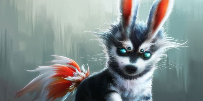 1920x1200 Free download Cute wolf cub wallpaper Digital Art wallpapers 24578