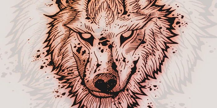 728x1294 2048x1536px | free download | HD wallpaper: wolf, drawing, digital