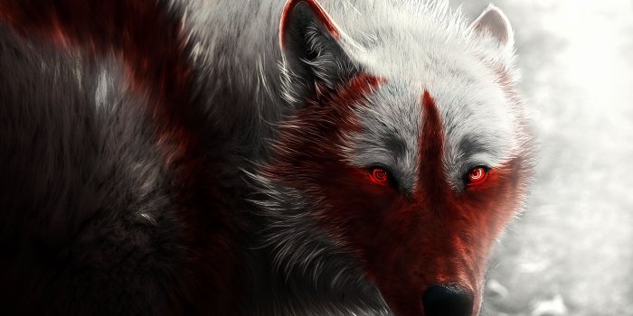 2880x1800 Arctic Wolf Wallpaper Hd - 2880x1800 Wallpaper - Ecopetit.cat