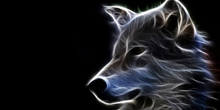 1920x1200 resimler/3D Wolf Animals HD Wallpapers | Wolf wallpaper, Wolf art