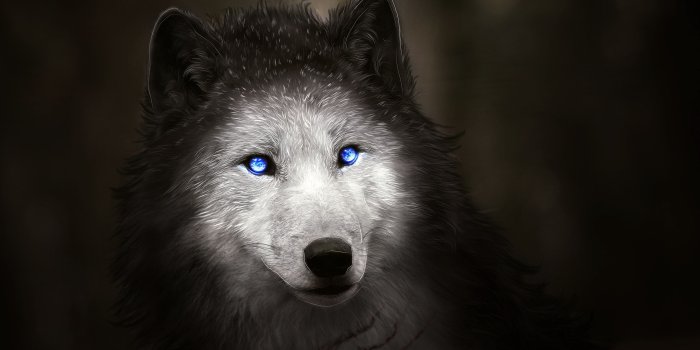 3000x1987 Wallpaper Wolf, Blue eyes, Digital art, HD, Creative Graphics