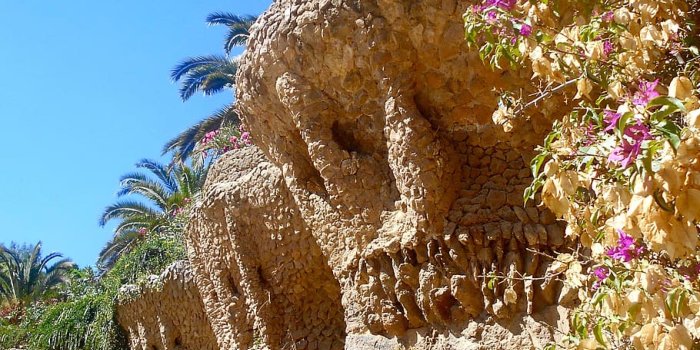 910x1213 HD wallpaper: barcelona, spain, park, nature, architecture