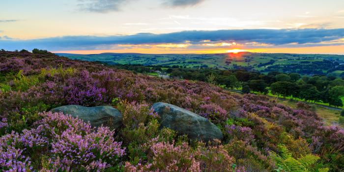 3840x2400 Heather In Bloom Landscape Photography Norland Moor Calderdale