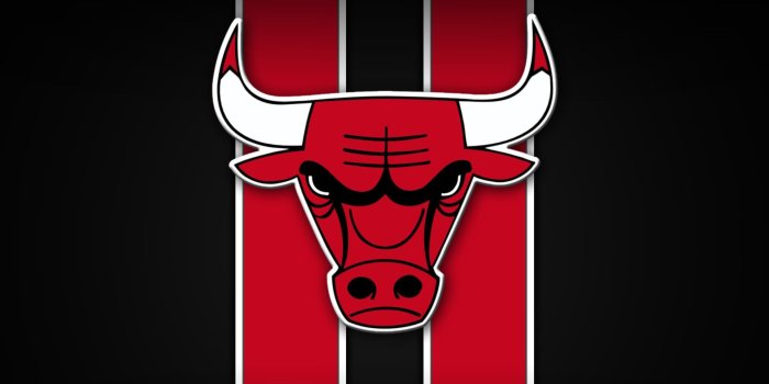 1920x1408 Chicago Bulls Wallpaper Collection For Free Download | Chicago