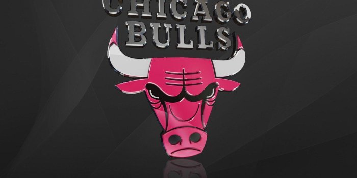 1600x1200 Chicago Bulls Backgrounds