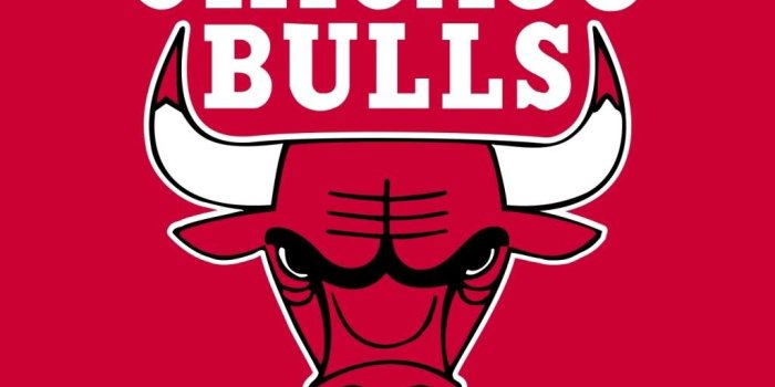 1024x768 chicago bulls logo - Free Large Images
