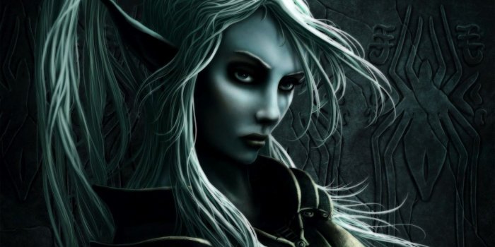 1600x900 live news update: Dark Elf Wallpaper