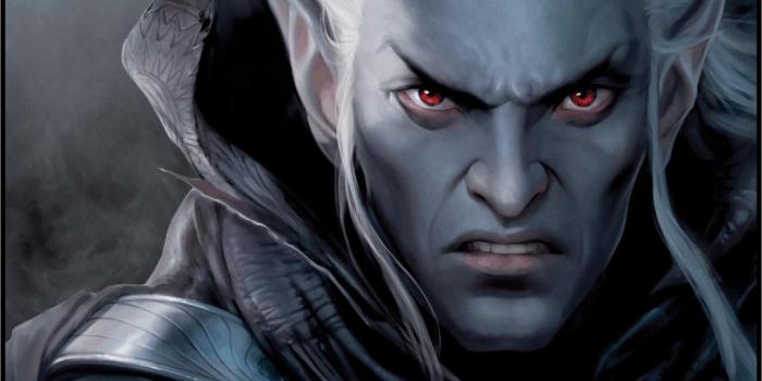 1024x768 Download wallpaper: dark elf, wallpapers, picture, angry black elf