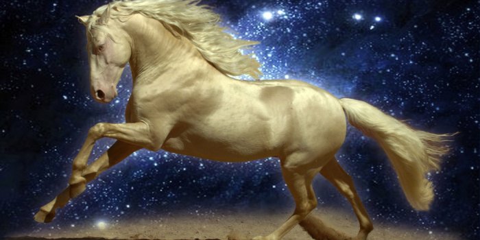 3840x2160 Beautiful Golden Horse-Night-sky-Stars-sand-Wallpaper Hd