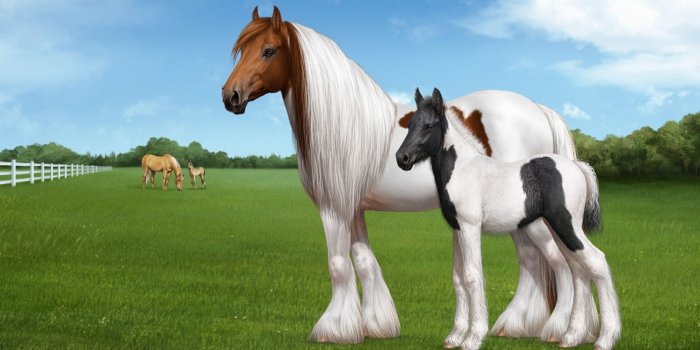 1920x1200 Horse Images Wallpaper , (35+) Pictures