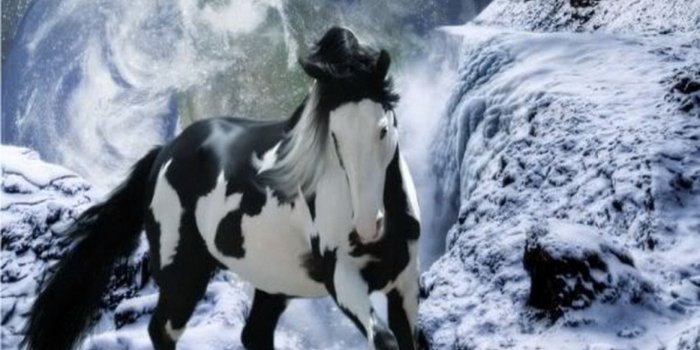 1366x768 Horse Wallpaper For Computers - 1366x768 Wallpaper - Ecopetit.cat
