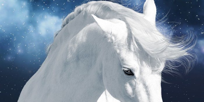 1080x1920 White Horse Wallpaper (68+ images)