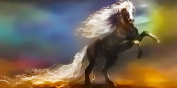 1920x1080 Animals Archives - DesktopHut