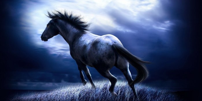 1600x1200 Desktop funny animated horse pics download