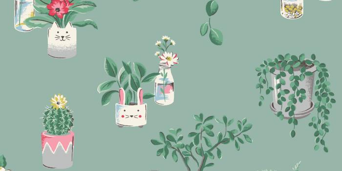 2250x4000 Phone wallpaper that features different houseplants in colourful