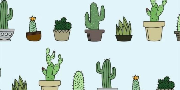 720x1280 Cute Plant Wallpapers - Top Free Cute Plant Backgrounds