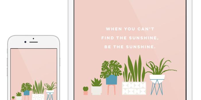 1500x1500 Cute house plant wallpaper - Sarah Hearts