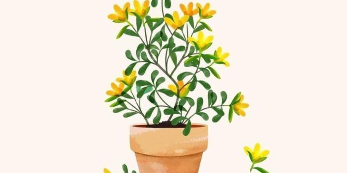 736x1308 So cute, little yellow plant painting | Plant painting, Flower