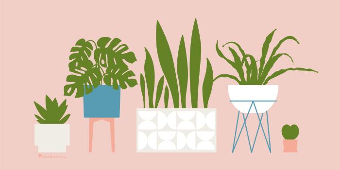 5334x3000 Cute Plant Wallpapers - Top Free Cute Plant Backgrounds